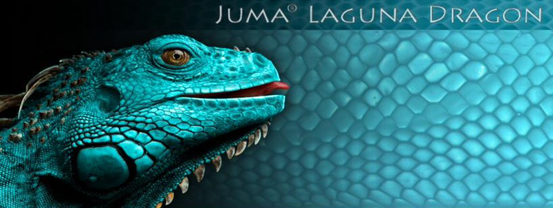 Juma Snake Scales