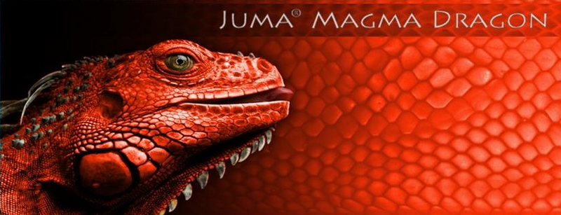 Juma Snake Scales